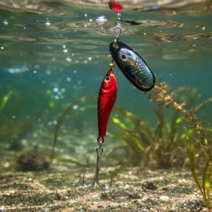 Isca Artifical Marine Sports Spinner Laser Holographic3d 8g Cor 10